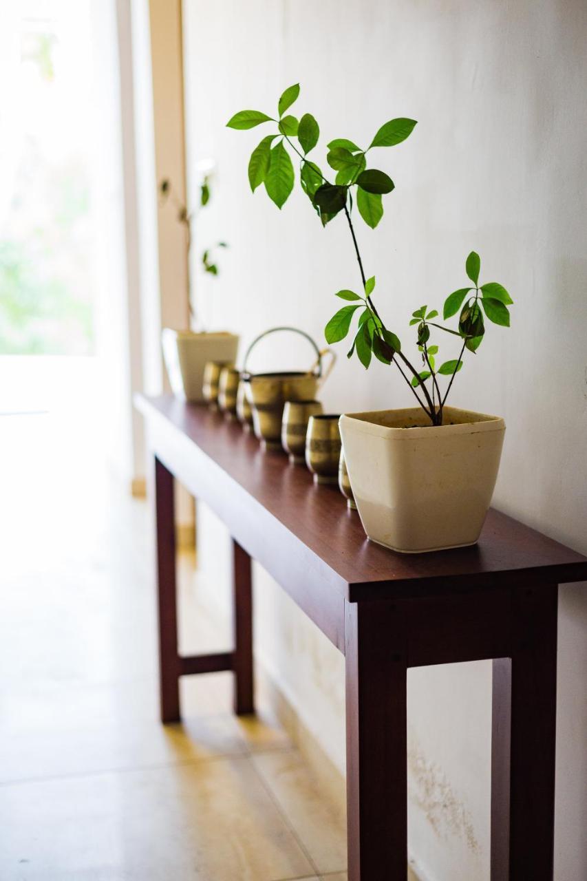Mekosha Ayurveda Spa Suites Retreat & Resort Attingal Zewnętrze zdjęcie