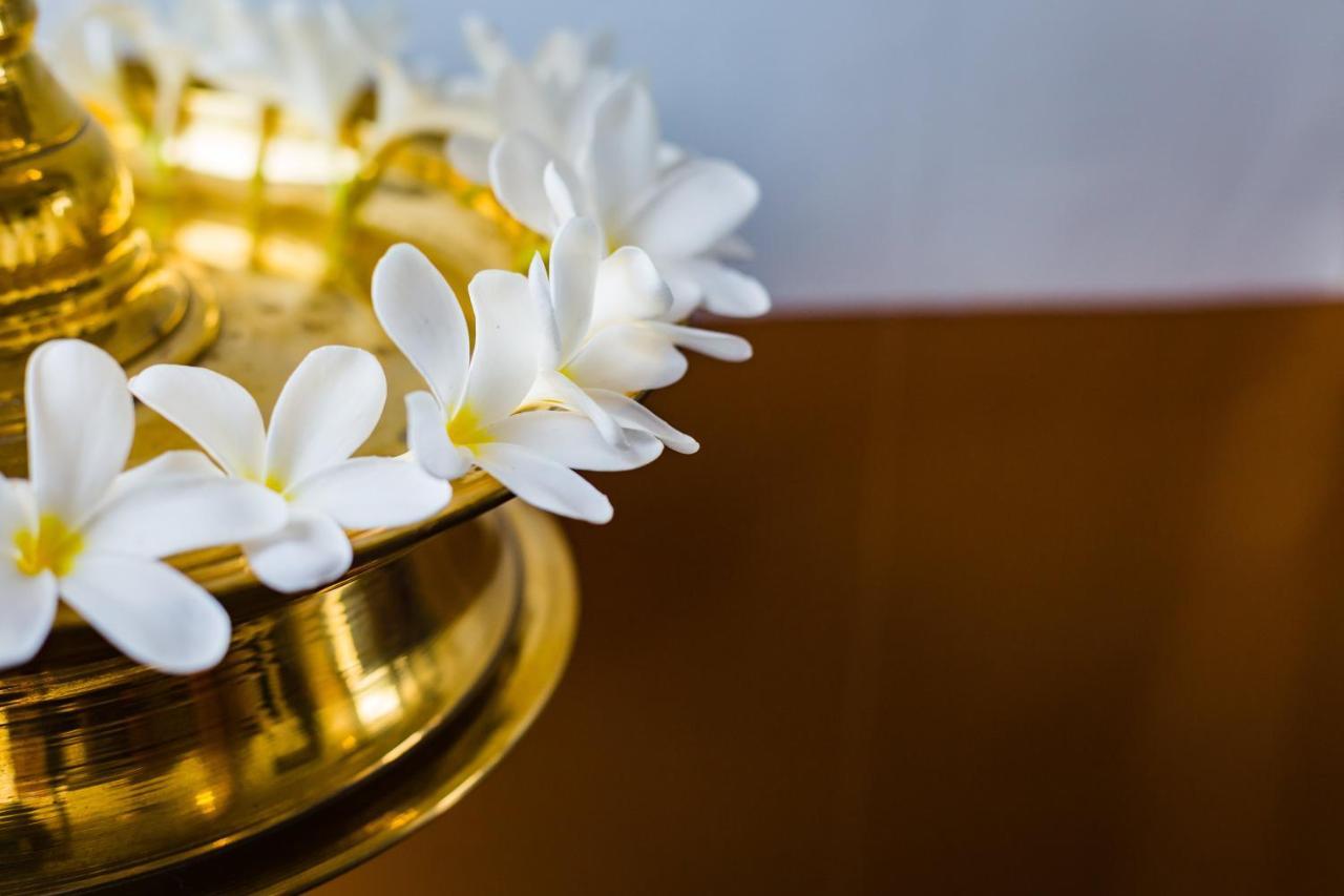 Mekosha Ayurveda Spa Suites Retreat & Resort Attingal Zewnętrze zdjęcie