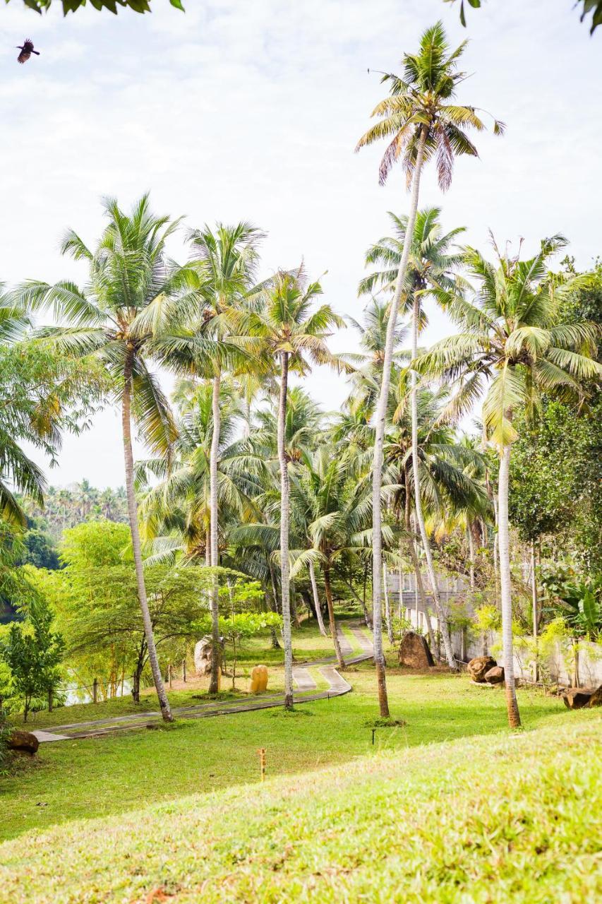 Mekosha Ayurveda Spa Suites Retreat & Resort Attingal Zewnętrze zdjęcie